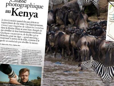 Chasses-Internationales-reportage-safari-photo