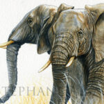 Deux-elephants-watercolor-detail