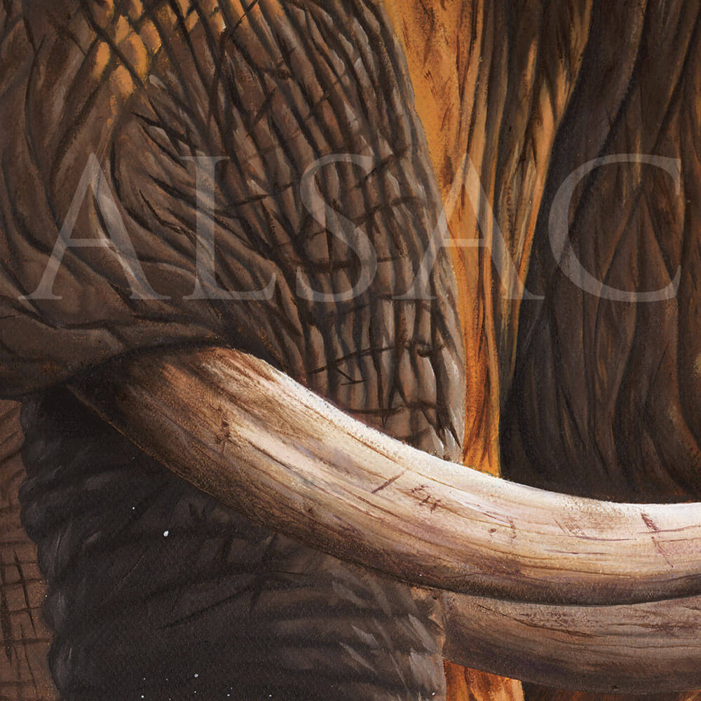 Elephants-Crossing-painting-detail1