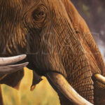 Elephants-Crossing-painting-detail2