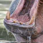 Hippo-mouth-painting-detail-hyper-realistic