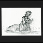 Hippo-sketch-framed