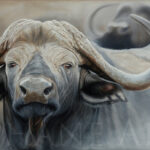 realistic-painting-cape-buffalo-wildlife-art