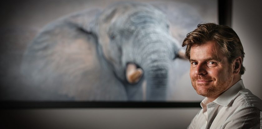 Stephane-Alsac-artiste-peintre-animalier-Wildlife-Artist