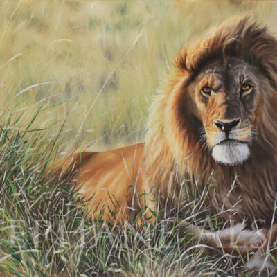 peinture Lion - Sunset Guardian