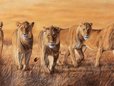 The-Wild-Bunch-peinture-lions-chasse