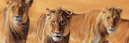 peinture lions cadeau safari