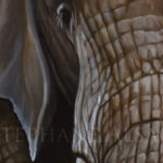 Udongo-painting-elephant-detail