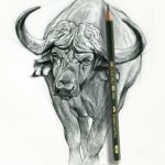 african-buffalo-soldier-art-drawing