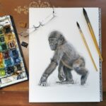 artiste-animalier-dessinateur-animaux-illustrateur-naturaliste