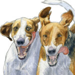 au-coute-peinture-chiens-venerie-detail