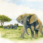 big-daddy-painting-elephant