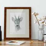 frame-drawing-sketch-male-roe-deer-decor-hunting