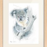 cadre-dessin-deco-beb-koala-australie