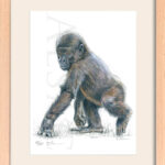 cadre-tableau-dessin-petit-bebe-gorille-cadeau-naissance