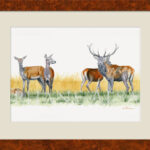 Stag-does-painting-framed