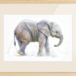 chambre-bebe-decoration-animaux-savane-afrique-elephant