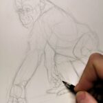 sketch-drawing-gorilla-basis