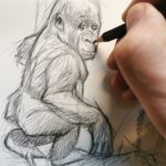 rough-sketch-baby-gorilla