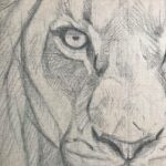 croquis-tableau-peinture-oeil-lion