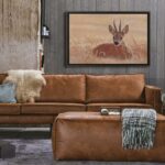 interior-design-sofa-leather-trophee-room-roe-deer