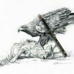 dessin-aigle-chevreuil-illustrateur-animalier