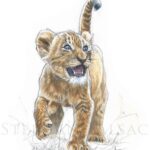 drawing-watercolor-lion-cub-wildife-art