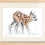 drawing-watercolor-baby-roe-deer-fawn