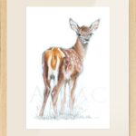 sketch-color-baby-deer-fawn-child-room