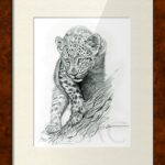 dessin-illsutartion-bebe-leopard-felin