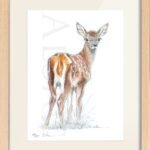 drawing-illustration-fawn-deer-bambi