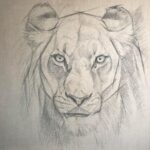 sketch-painting-lioness