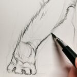 how-to-draw-realistic-gorilla-hand