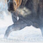 canadian-moose-winter-snow-moose-painting-art