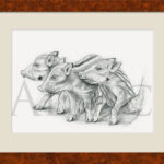 drawing-young-wild-boar
