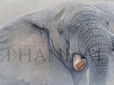 elephant-painting-high-and-mighty
