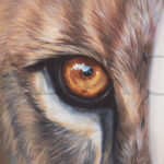 eye-lion-close-up-painting-you-next