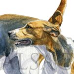 fox-hound-pack-painting