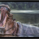 hippopotame-peinture-animaliere-stephane-alsac-artiste
