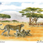 hunting-lessons-gien-plateau-acrylique-safari