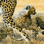 hunting-lessons-painting-cheetahs-detail2