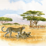 hunting-lessons-peinture-guepard
