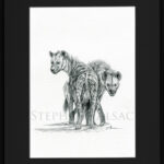 hyenas-sketch-framed