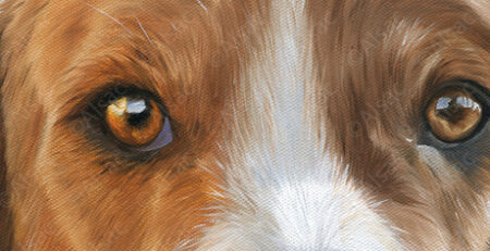 detail painting foxhound