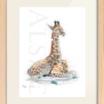 illustration-dessin-petit-girafon-art-animalier