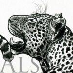 illustration-leopard-tattoo-sketch