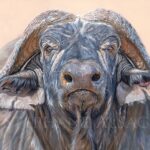 giclee-print-on-canvas-painting-cape-buffalo-wildlife-art