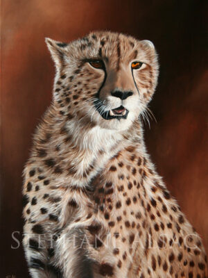kimbia-peinture-guepard