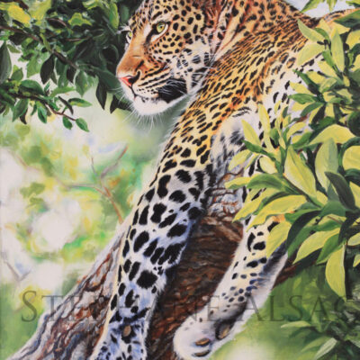 leopard painting in tree