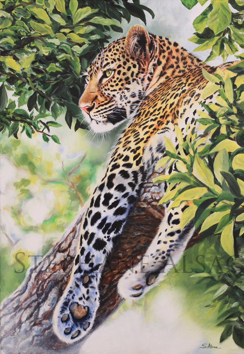 leopard painting in tree